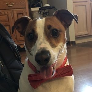 Meet your Posher, Jacob